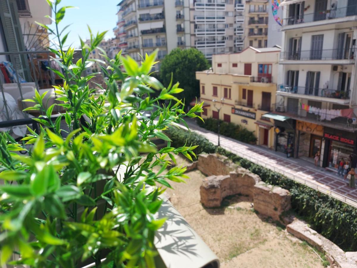 Apartamento Nava In The Center Of Tesalónica